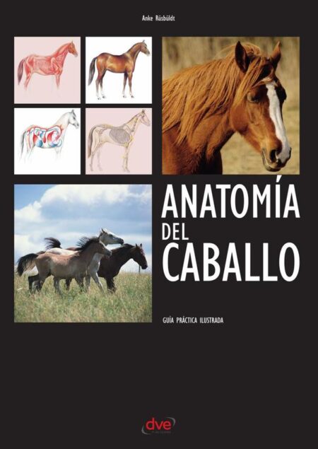 Anatomía del caballo