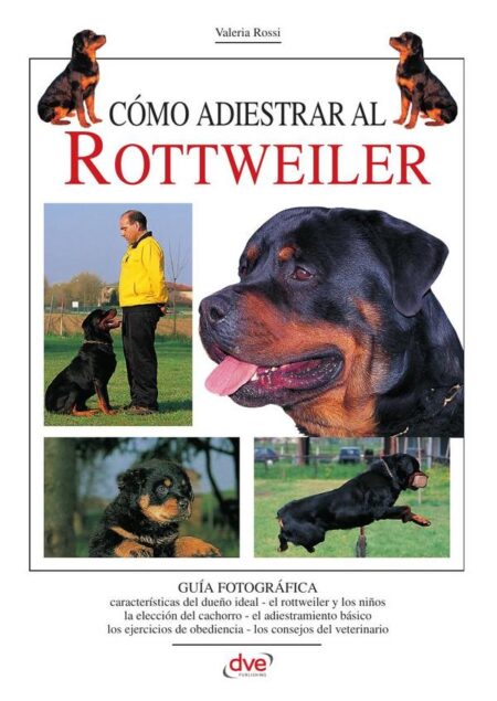 Cómo adiestrar al Rottweiler
