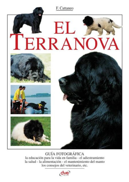 El terranova