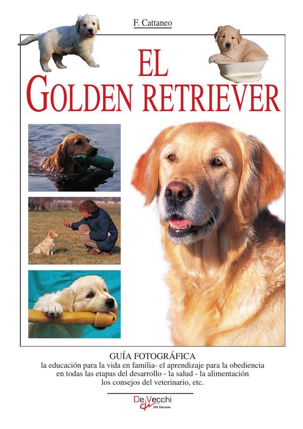 El Golden retriever