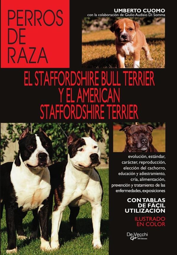 El staffordshire bull terrier y el american staffordshire terrier