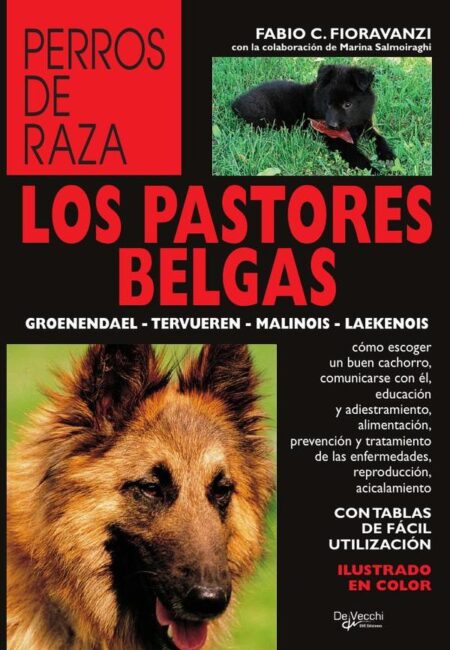Los pastores belgas