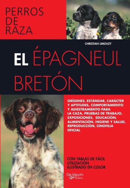 El Épagneul Bretón