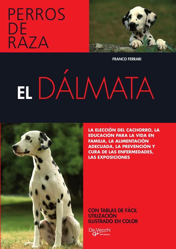 El dálmata