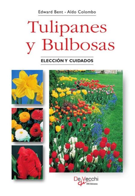 Tulipanes y Bulbosas