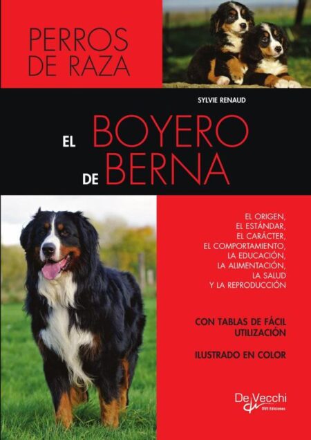 El boyero de Berna