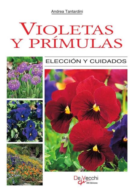 Violetas y prímulas:Cultivo, cuidados y variedades