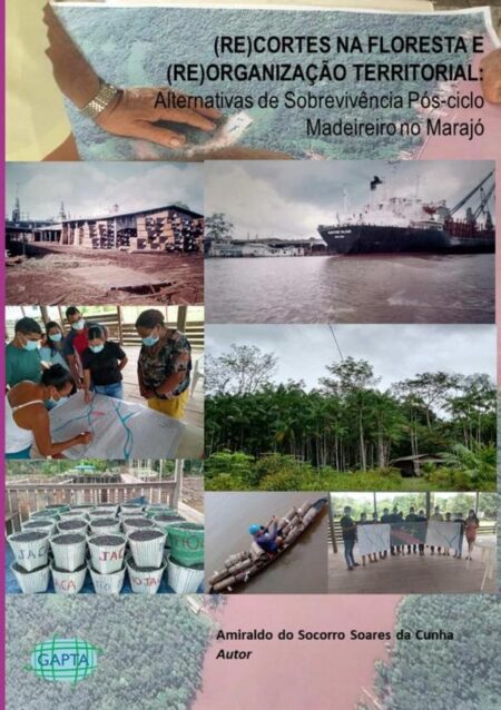 (re)cortes Na Floresta E (re)organização Territorial:Alternativas de Sobrevivência Pós-Ciclo Madeireiro no Marajó