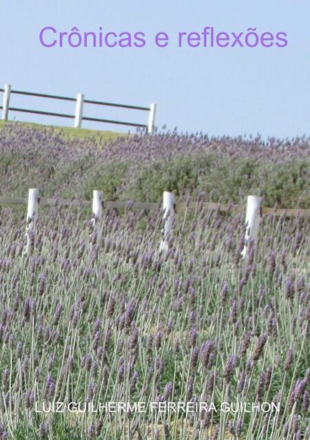 Crônicas E Reflexões