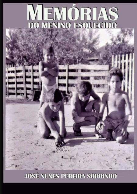 Memórias Do Menino Esquecido:MEMÓRIAS