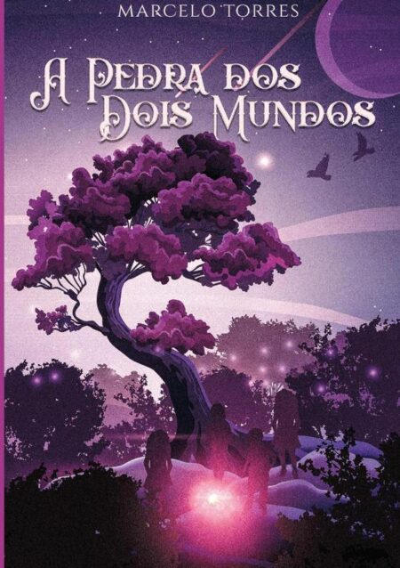 A Pedra Dos Dois Mundos