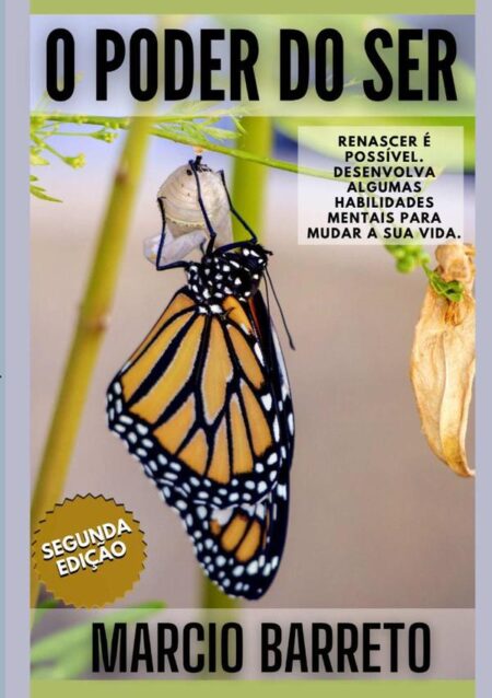 Manual Para Ser Alguém:Desenvolva habilidades especiais para crescer