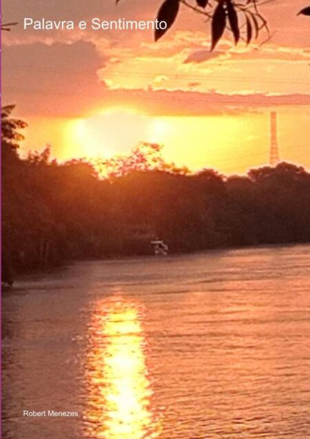 Palavra E Sentimento