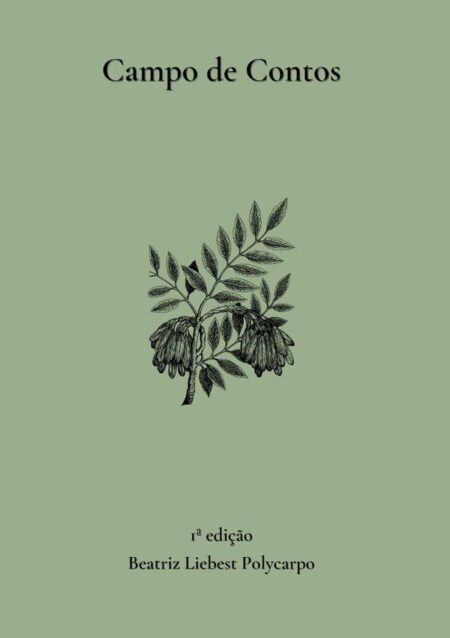 Campo De Contos