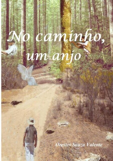 No Caminho, Um Anjo