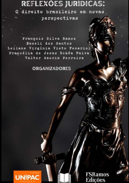 Reflexões Jurídicas: O Direito Brasileiro Em Novas Perspectivas