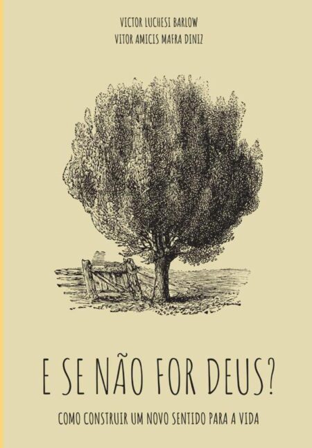 E Se Não For Deus?:Como construir um novo sentido para a vida