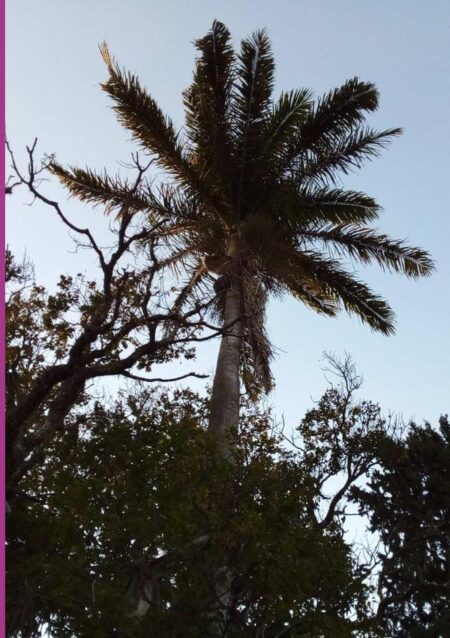Micro Gotas De Sabedoria Em Uma Manhã Fria De Inverno.