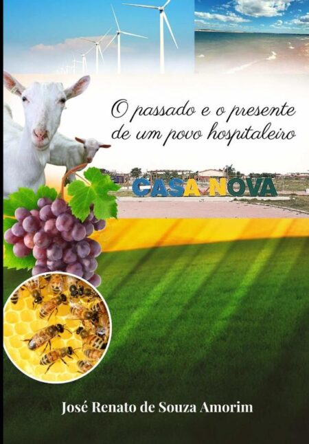 O Passado E O Presente De Um Povo Hospitaleiro:Casa Nova Bahia