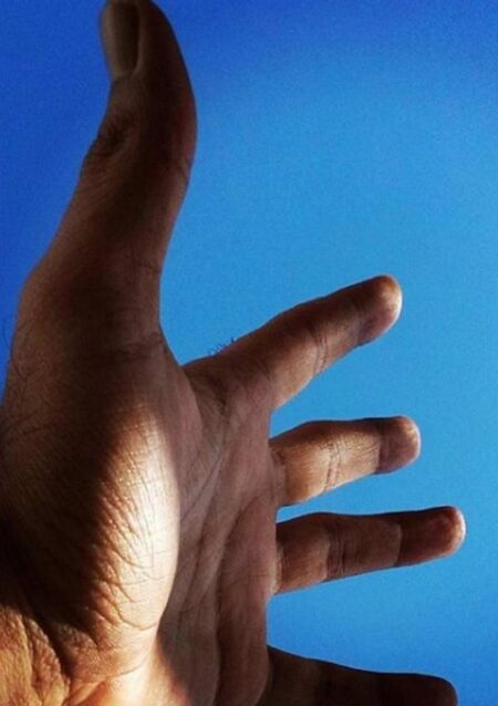 Os Regalos Da Azanha