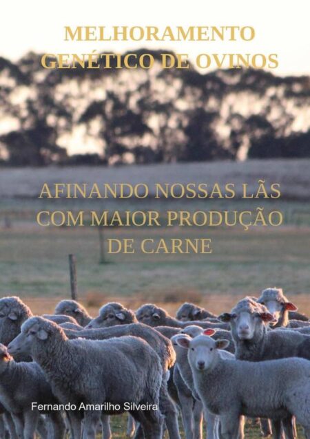 Melhoramento Genético De Ovinos:Afinando nossas lãs com maior produção de carne