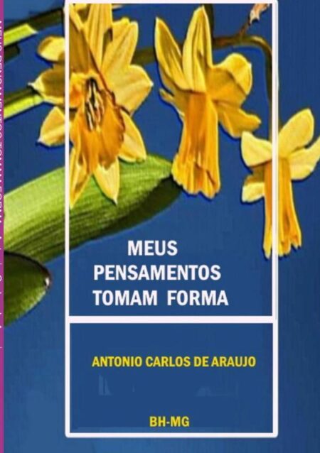 Meus Pensamentos Tomam Forma:Momentos de Meditação sobre a Vida