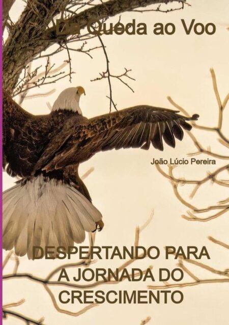 Da Queda Ao Voo:Despertando para a Jornada do Crescimento