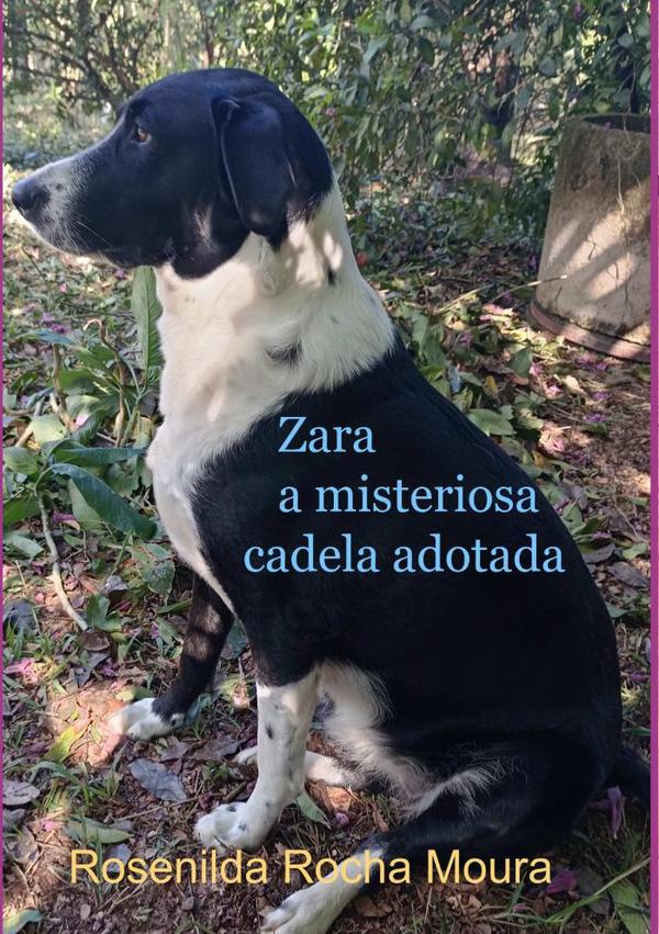Zara:a misteriosa cadela adotada