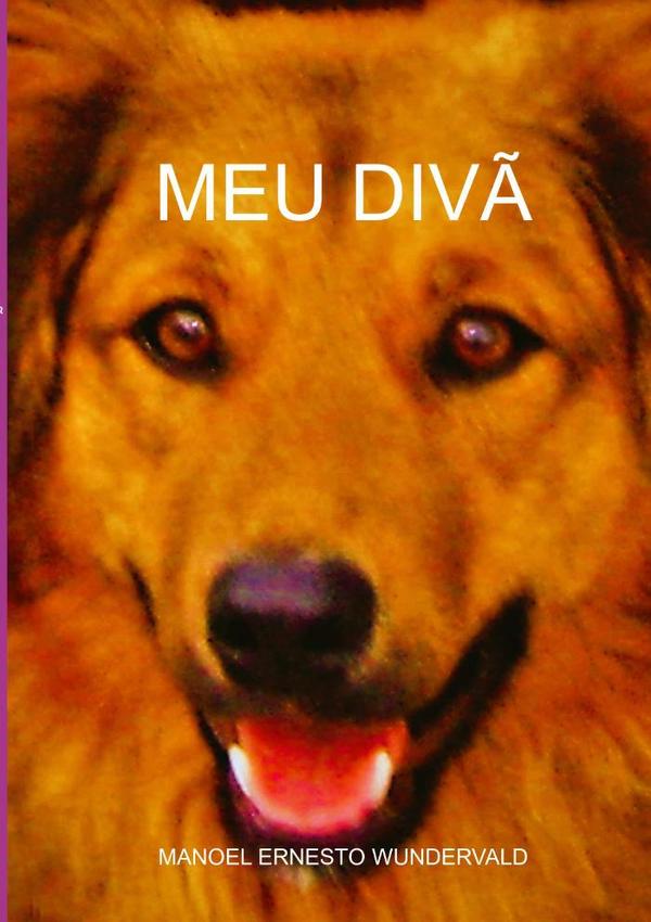 Meu Divã