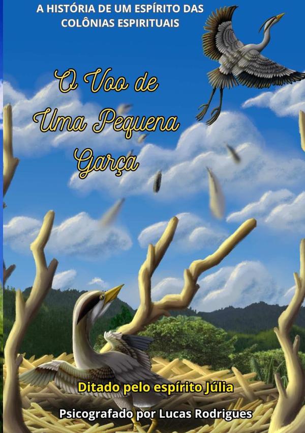 O Voo De Uma Pequena Garça:A História de um Espírito das Colônias Espirituais