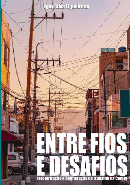 ?entre Fios E Desafios?:terceirização e degradação do trabalho na Cemig?