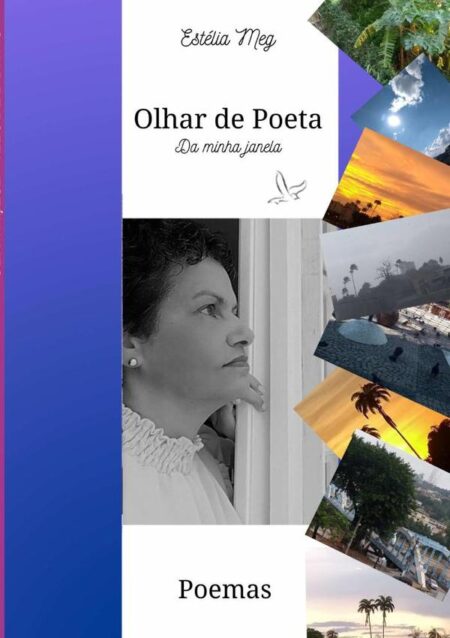 Olhar De Poeta:DA MINHA JANELA