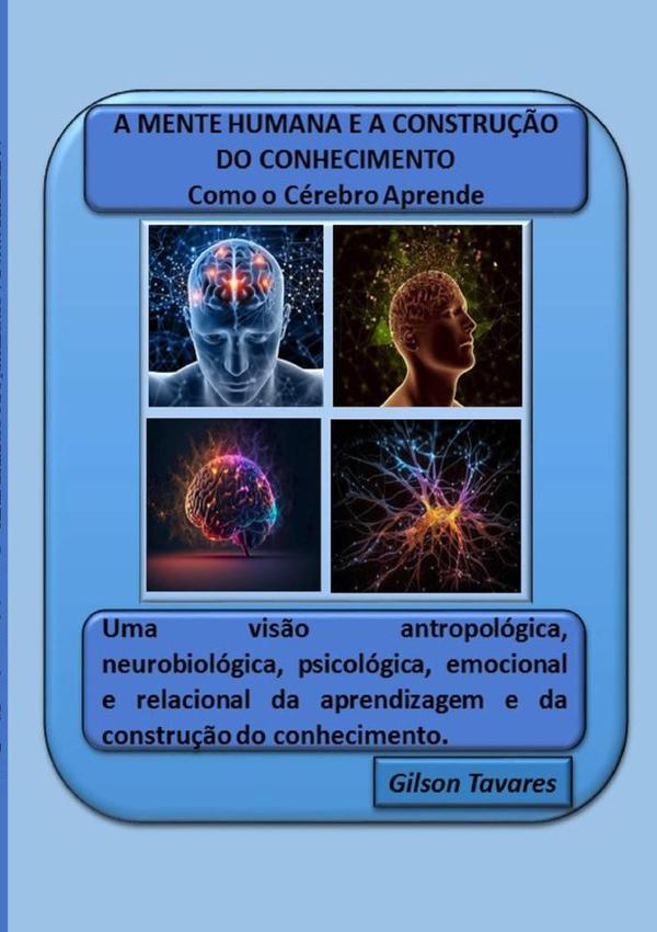 A Mente Humana E A Construção Do Conhecimento - Como O Cérebro Aprende:Uma visão antropológica, neurobiológica, psicológica, emocional e relacional da aprendizagem e da construção do conhecimento.