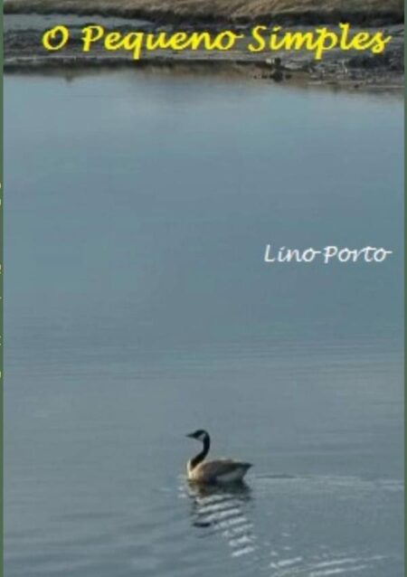O Pequeno Simples