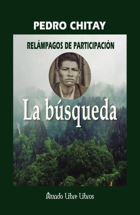 Relámpagos de participación:La búsqueda