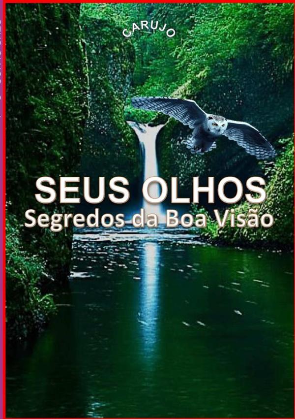 Seus Olhos:Segredos da Boa Visão