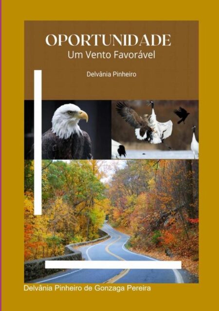 Oportunidade:Um Vento Favorável