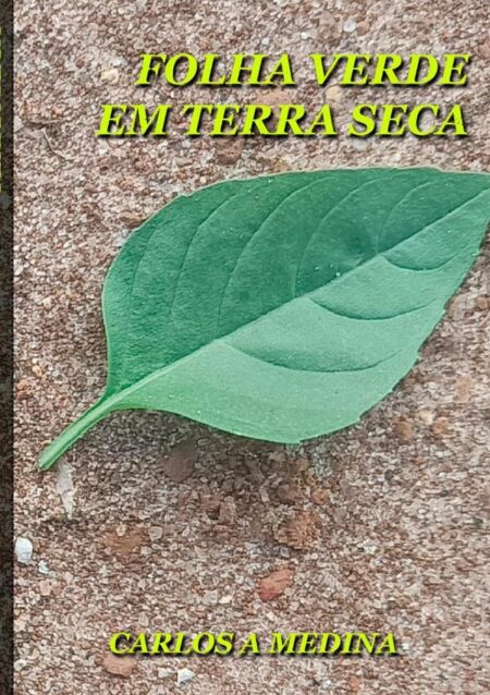 Folha Verde Em Terra Seca