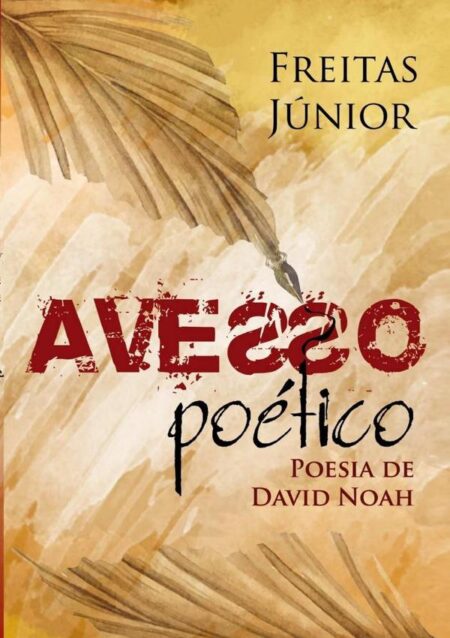Avesso Poético:A POESIA DE DAVID NOAH