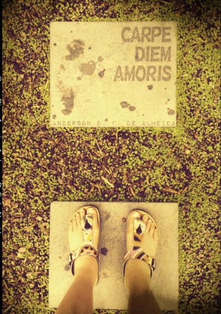 Carpe Diem Amoris:[Latim: Aproveite o dia, Amor]