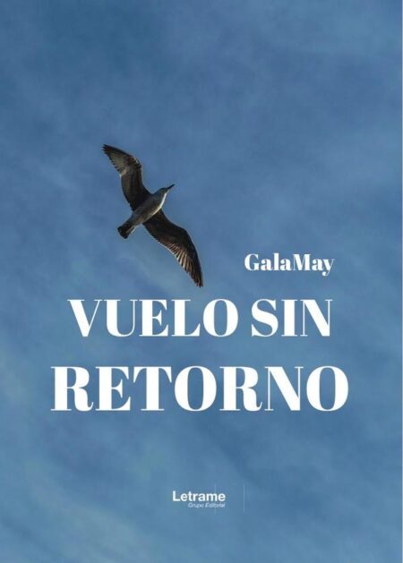 Vuelo sin retorno