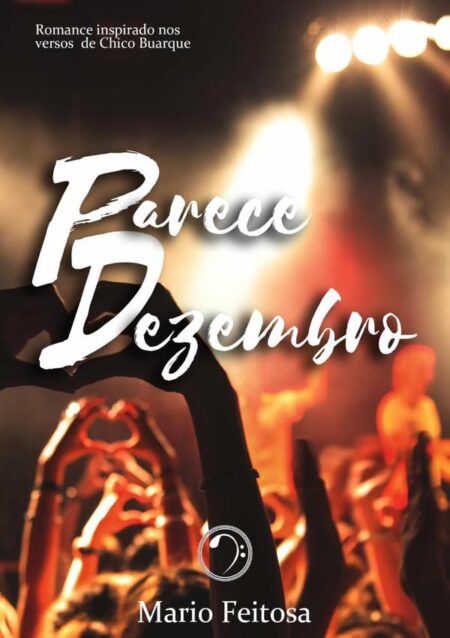 Parece Dezembro:Romance inspirado nos versos de Chico Buarque