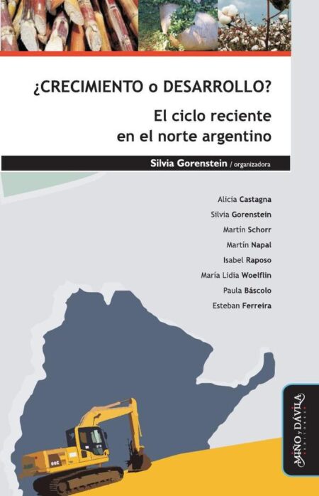 ¿Crecimiento o desarrollo? El ciclo reciente en el norte argentino