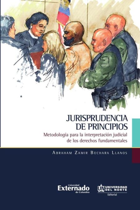 Jurisprudencia de principios:Metodología para la interpretación judicial de los derechos fundamentales