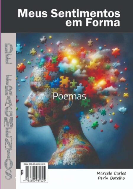 Meus Sentimentos Em Forma De Fragmentos