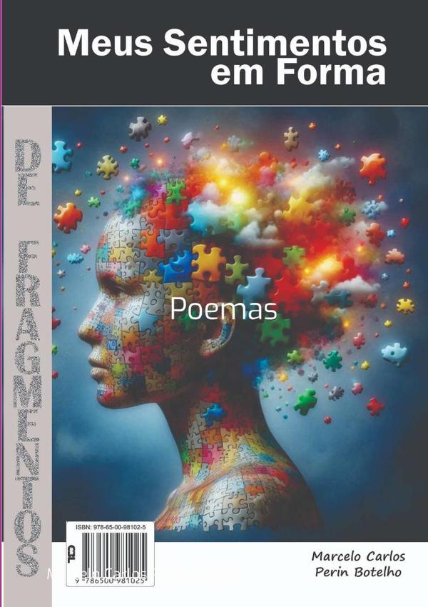 Meus Sentimentos Em Forma De Fragmentos