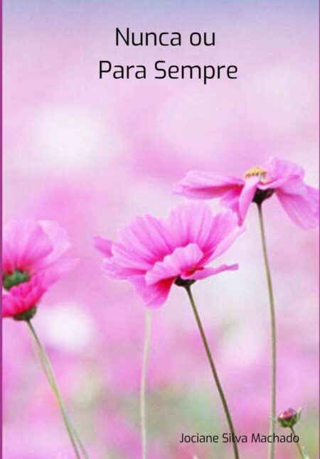 Nunca Ou Para Sempre
