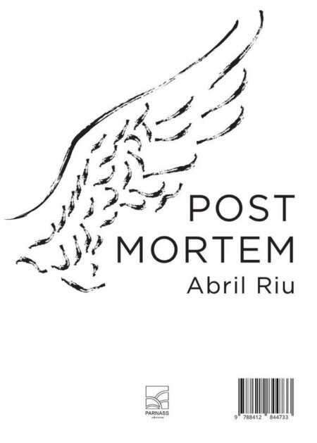 Ex Nihilo Post Mortem