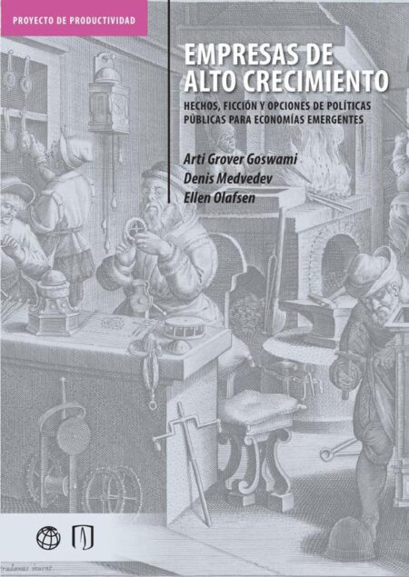 Empresas de alto crecimiento:Hechos, ficción y opciones de políticas públicas para economías emergentes