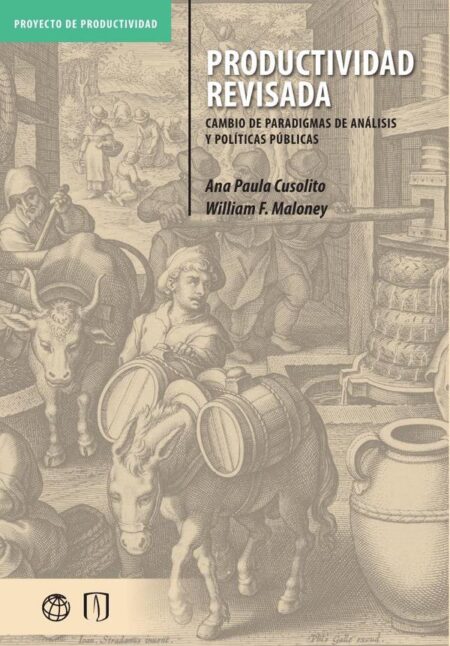Productividad revisada.:Cambio de paradigmas de análisis y políticas públicas